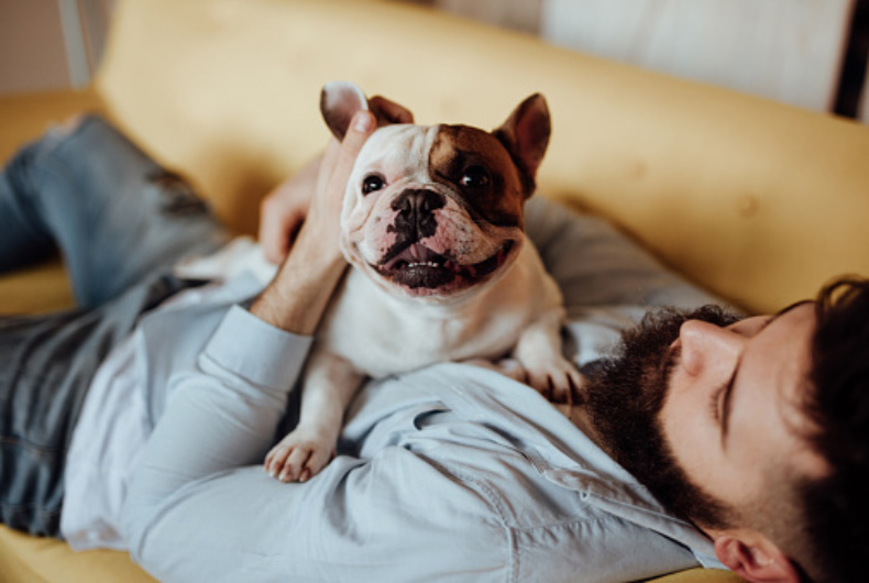 small bulldog laying on owner's chest on couch