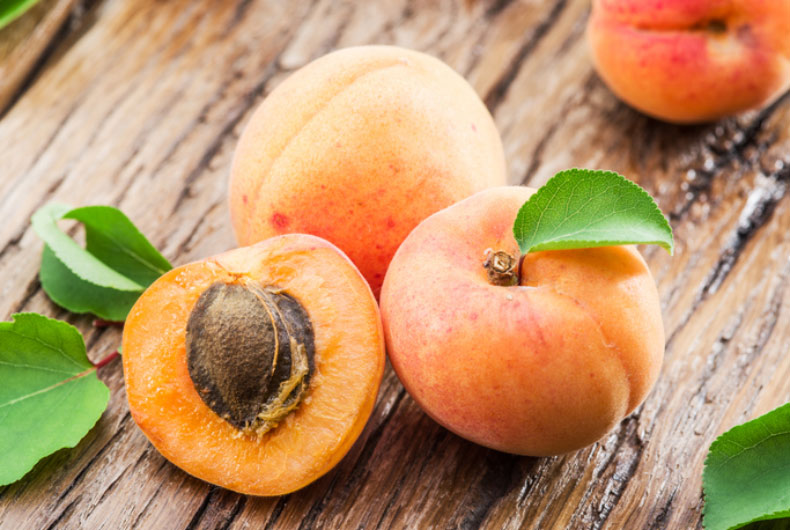 can dogs eat apricot
